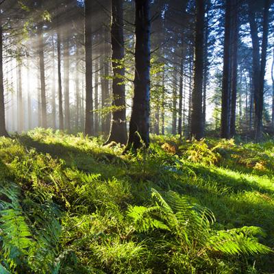 星空体育官方网站app下载